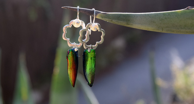 earrings: silver lucky 3d charm with pearls and beetle shell